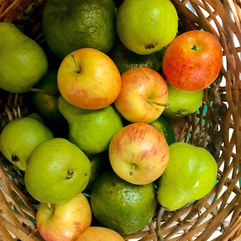 frukter h2fiber Kvinna ligger i sängen med huvudet på kudden